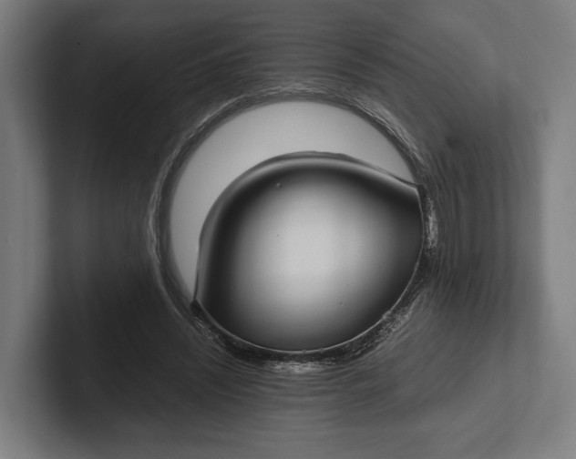 X0000101990444200808011104