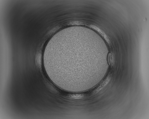 X0000101990445200808011104