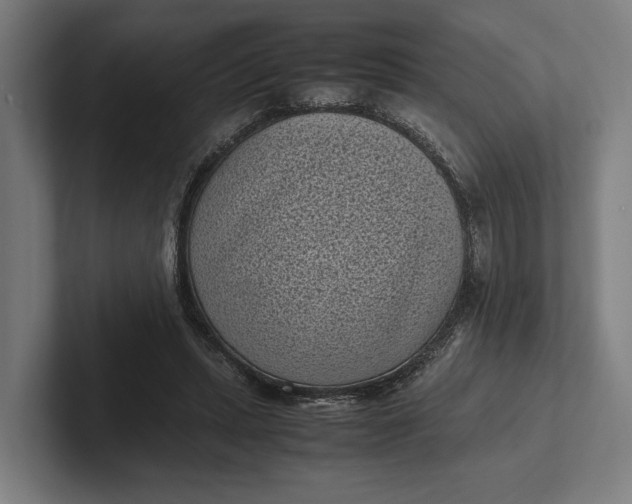 X0000101990447200808011104