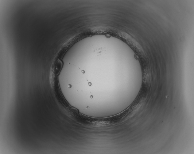 X0000101990448200808011104