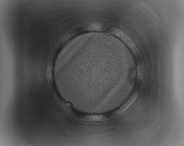 X0000101990449200808011104