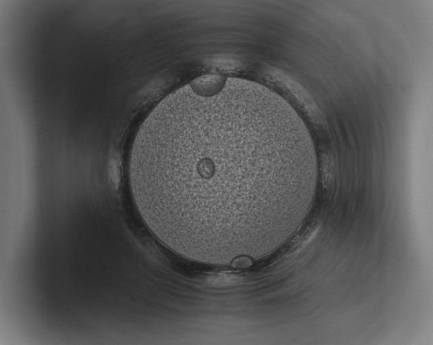 X0000101990451200808011104