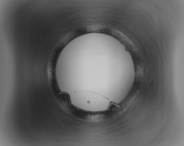 X0000101990452200808011104