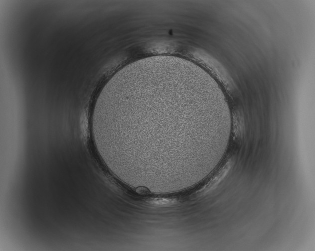 X0000101990453200808011104