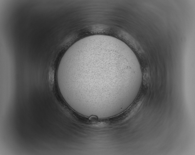 X0000101990454200808011104