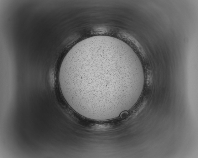 X0000101990455200808011104