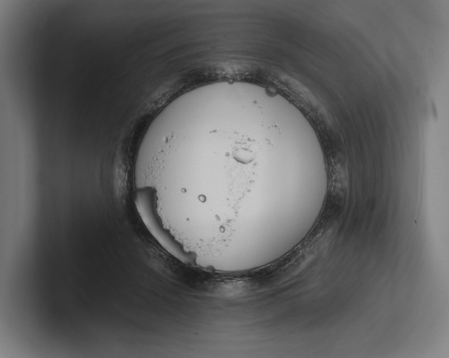 X0000101990456200808011104