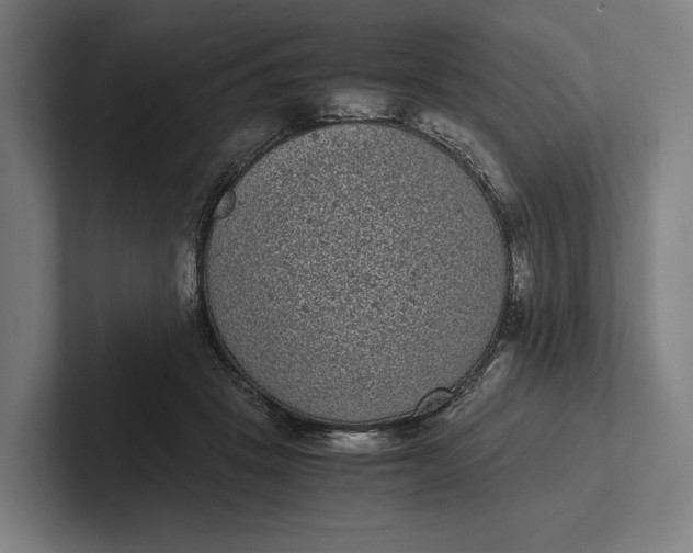 X0000101990457200808011104