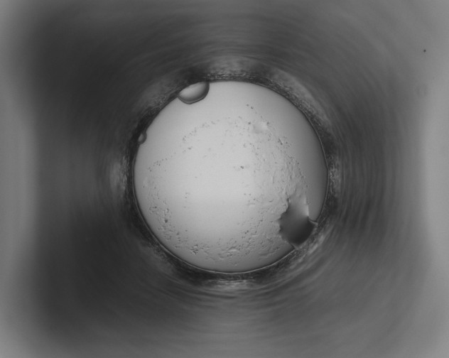 X0000101990458200808011104