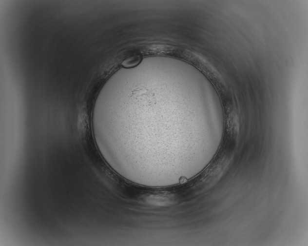 X0000101990459200808011104