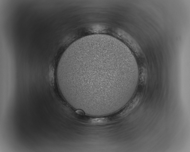 X0000101990461200808011105