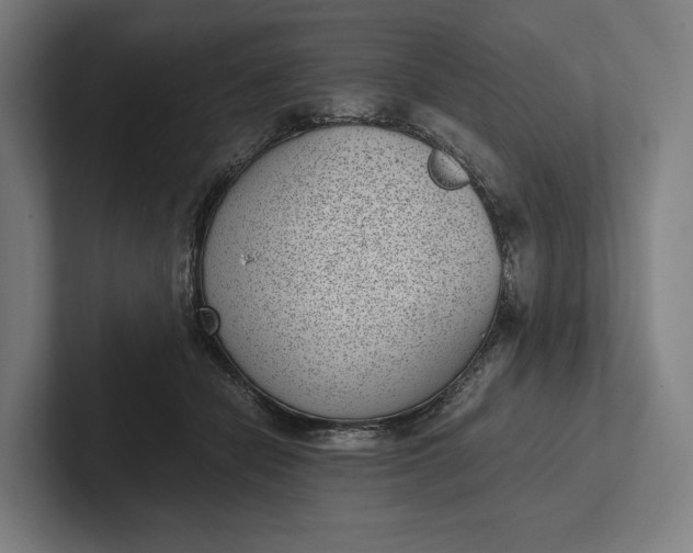 X0000101990462200808011105