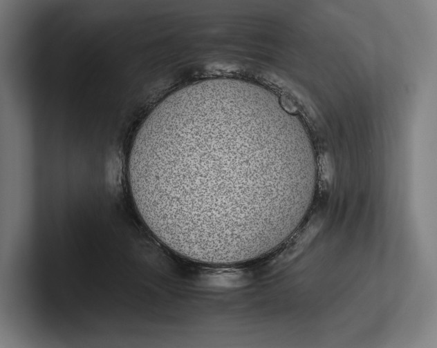 X0000101990463200808011105