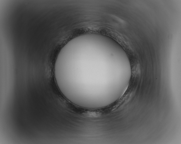 X0000101990464200808011105