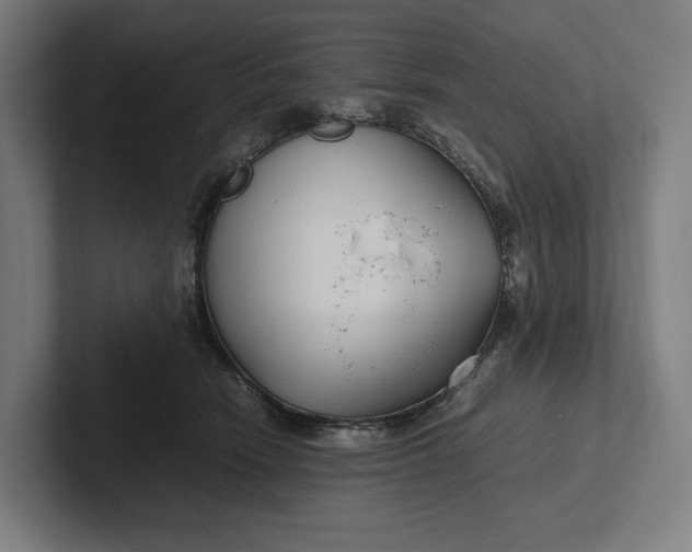 X0000101990466200808011105