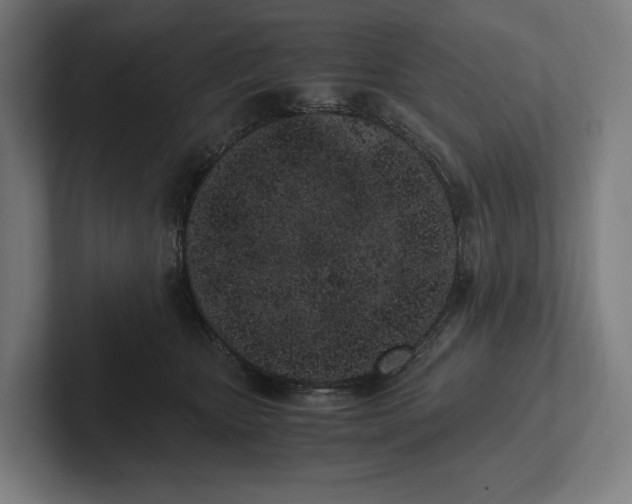 X0000101990467200808011105