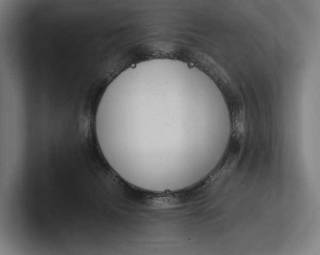 X0000101990468200808011105