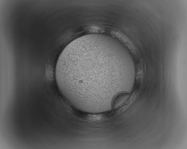 X0000101990469200808011105