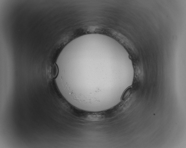 X0000101990470200808011105