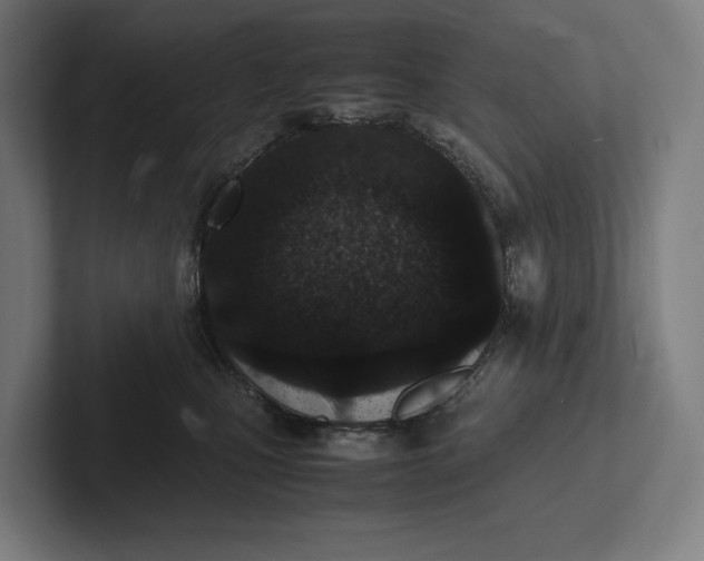 X0000101990471200808011105