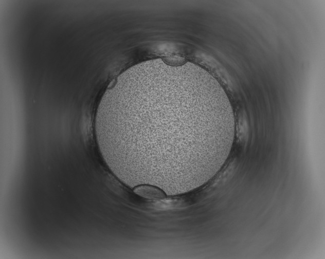 X0000101990473200808011105