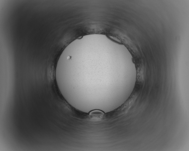 X0000101990474200808011105