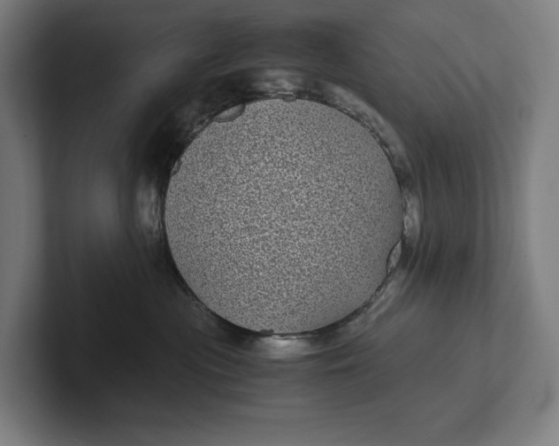 X0000101990477200808011105