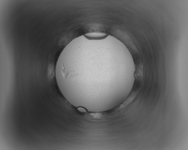 X0000101990478200808011105