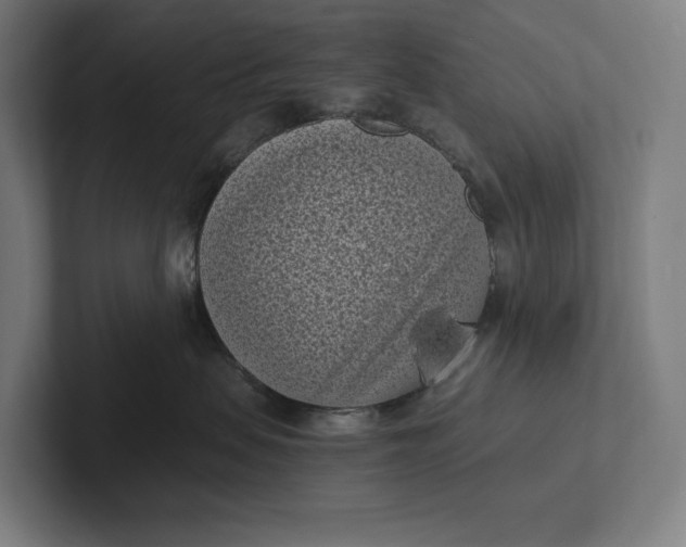 X0000101990479200808011105