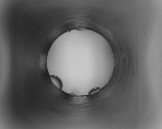 X0000101990480200808011105