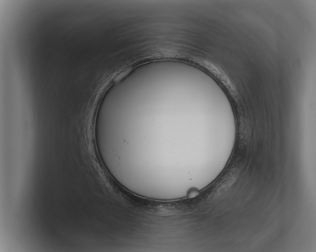 X0000101990481200808011104