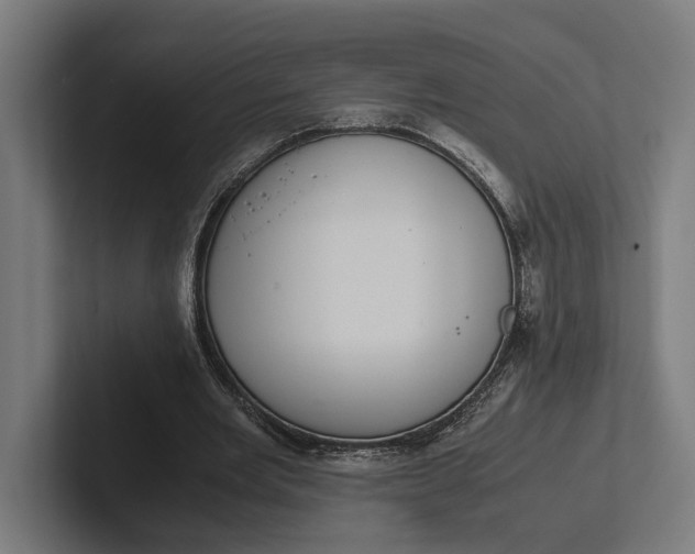 X0000101990485200808011104