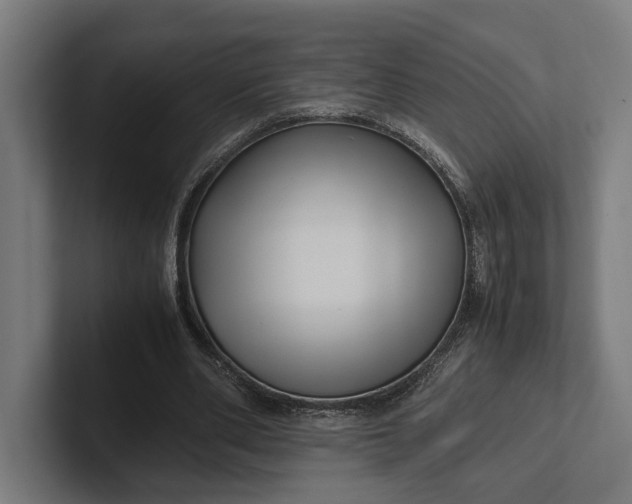 X0000101990486200808011104