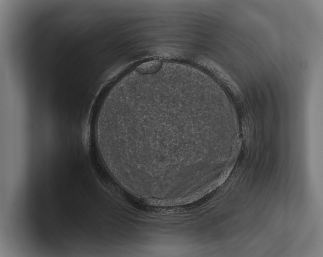 X0000101990488200808011104