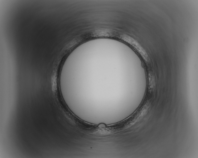 X0000101990489200808011104