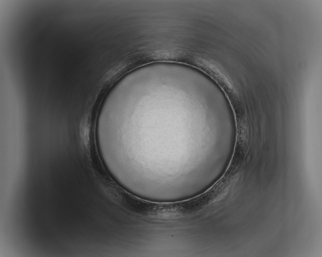 X0000101990491200808011104