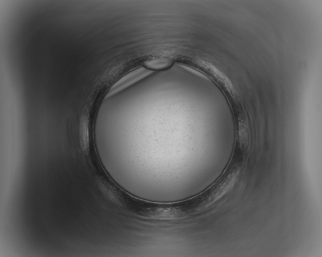 X0000101990493200808011104