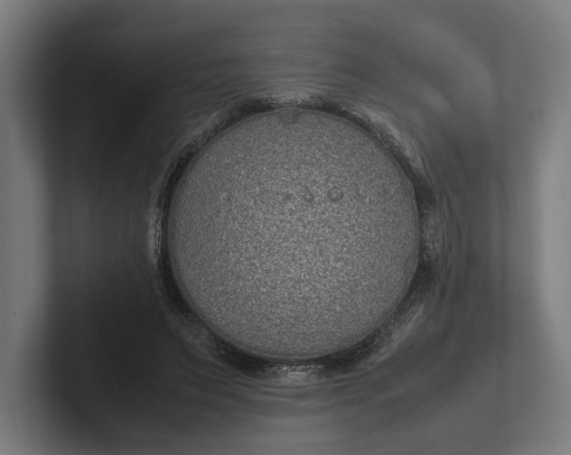 X0000101990495200808011104