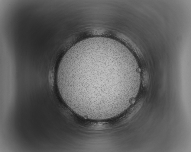 X0000101990497200808011104