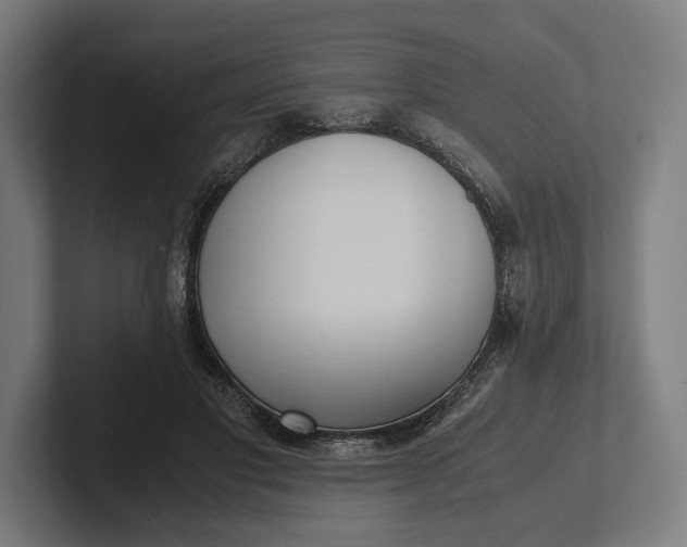 X0000101990501200808011104