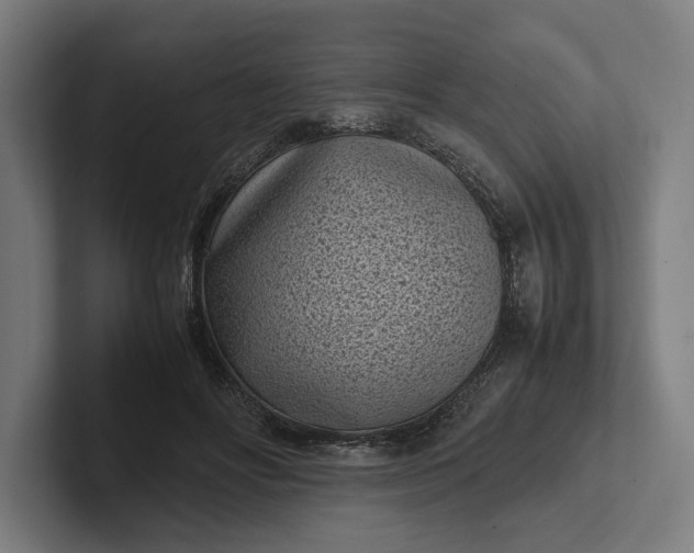 X0000101990502200808011104