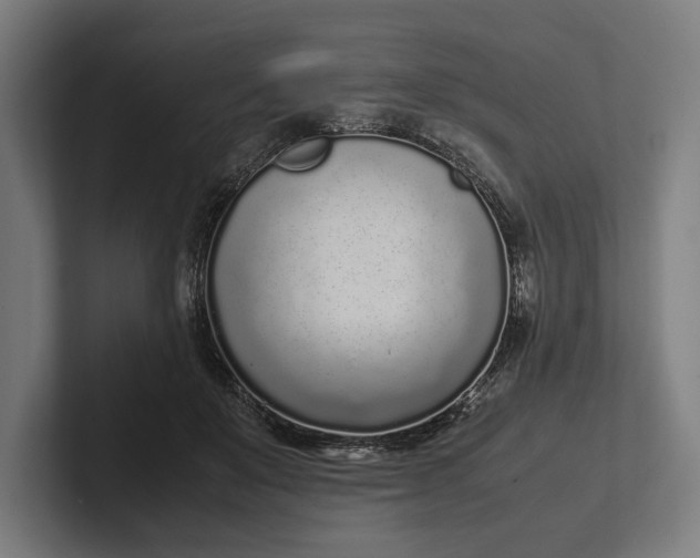 X0000101990503200808011104