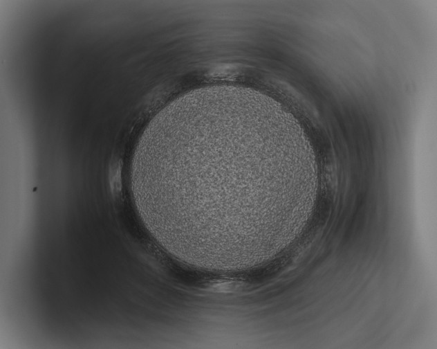 X0000101990504200808011104