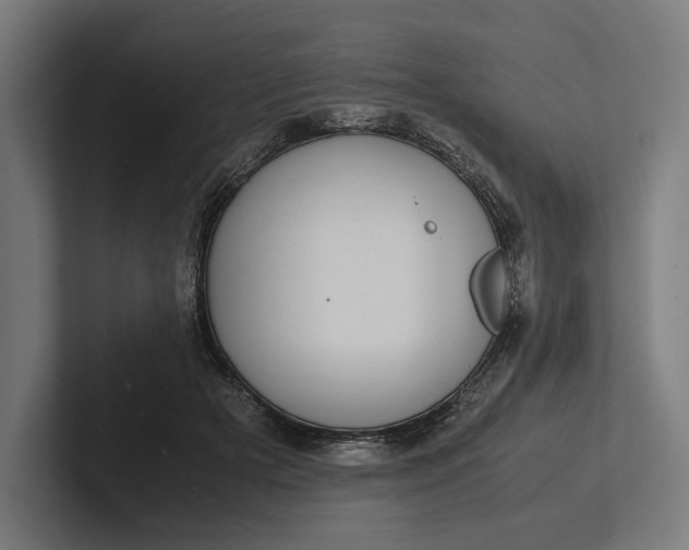 X0000101990505200808011104