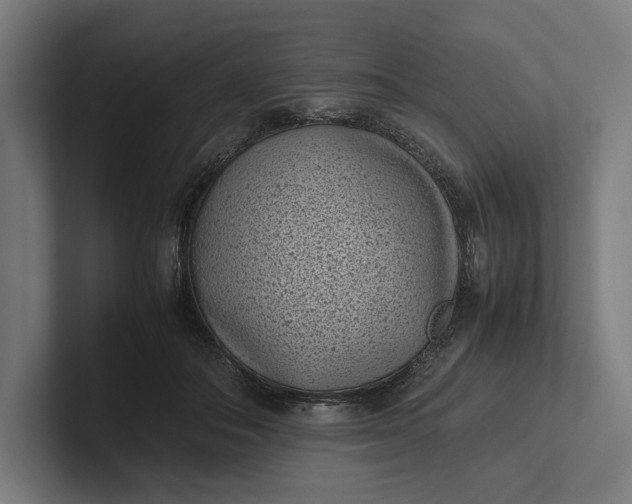 X0000101990506200808011104