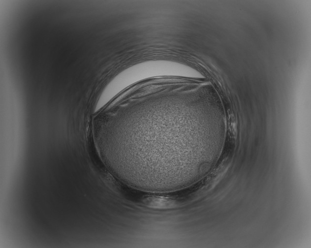 X0000101990507200808011104