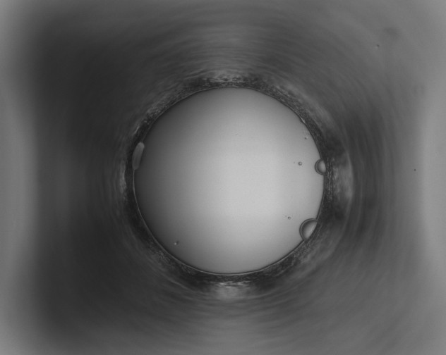 X0000101990508200808011104