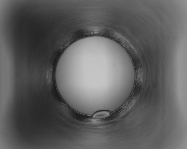 X0000101990509200808011104