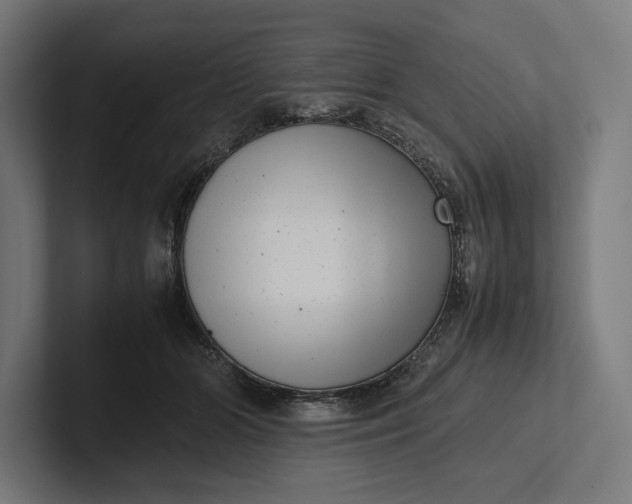 X0000101990510200808011104