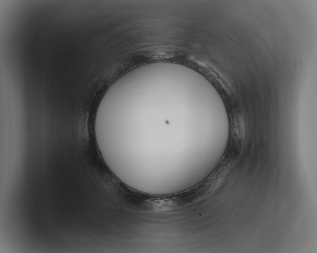 X0000101990512200808011104